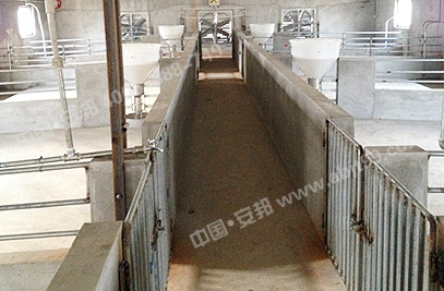 畜牧養(yǎng)殖場內(nèi)部分布