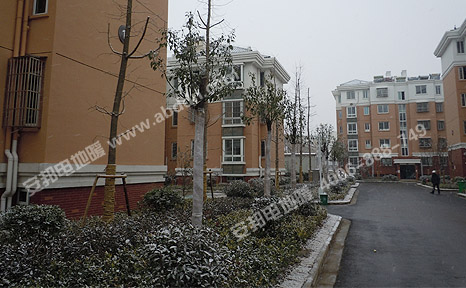 黨校社區(qū)雪景:2012年12月26日,安裝電地暖第一天,當(dāng)?shù)叵缕鹆私穸谝粓鲅? width=