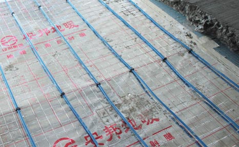 �B(y��ng)ֳ���ذl(f��)����|����������