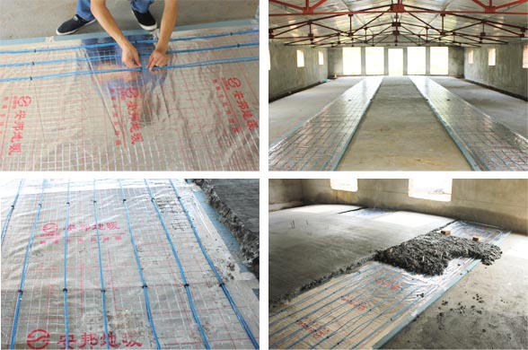 �B(y��ng)ֳ���ذl(f��)����|���b�D