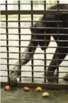 �����õ�ů