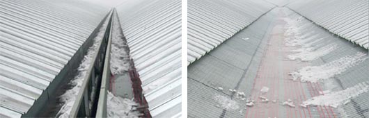 �l(f��)����|��������ѩ�����D