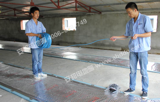 ��O(sh��)�z�y�����İl(f��)����|